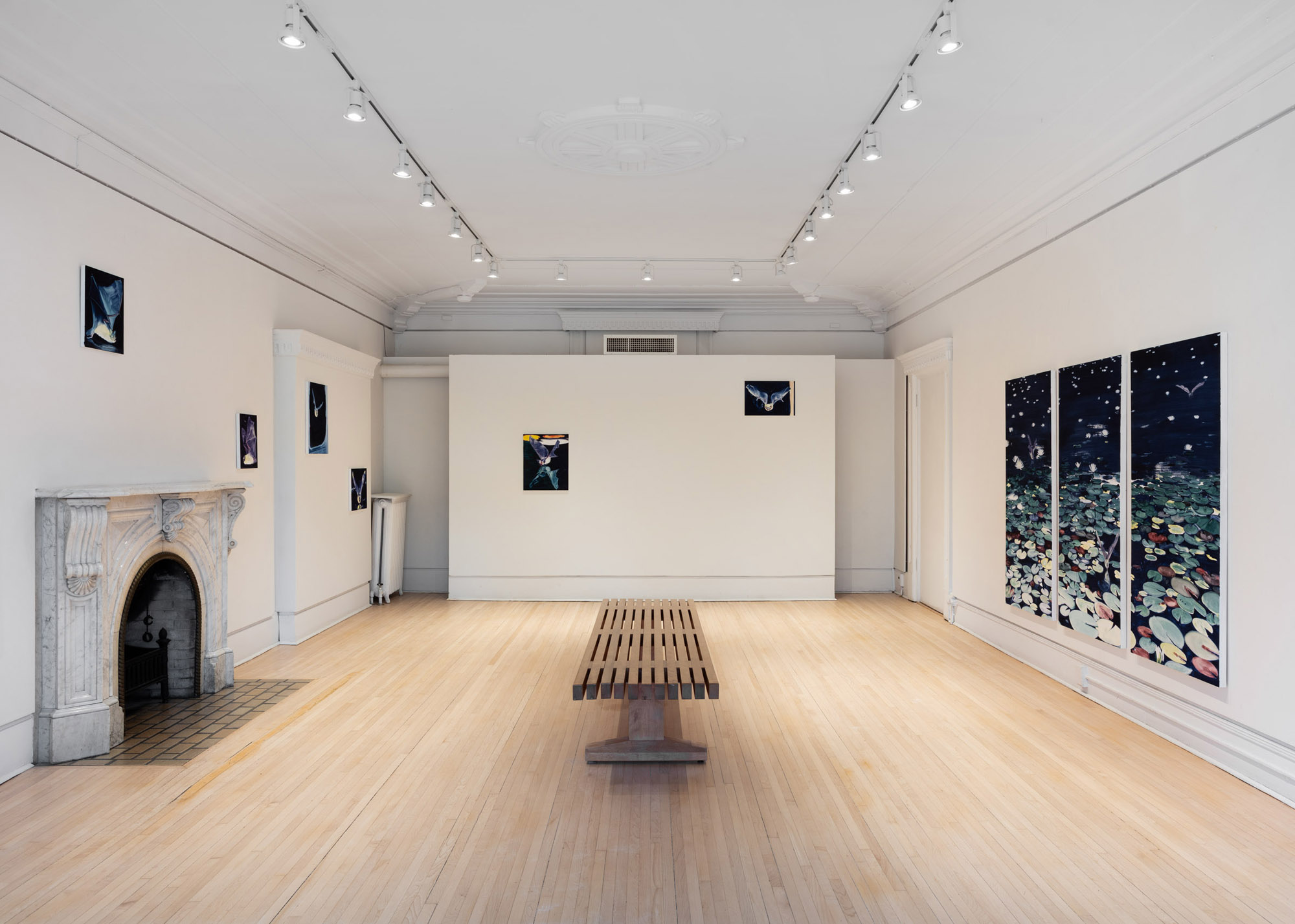 Night Vision at Glenhyrst Art Gallery